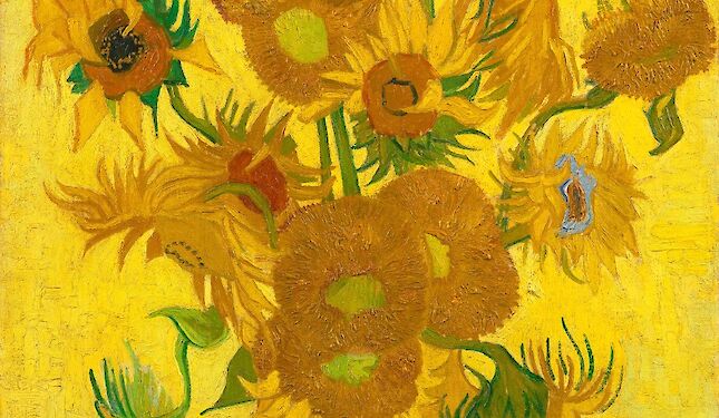 Highlights of Van Gogh throughout The Netherlands
