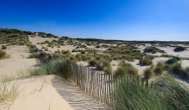 The Dutch Coast