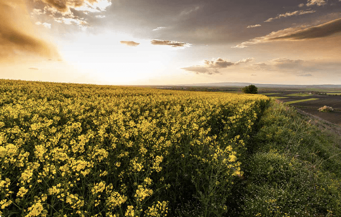 WalkingTours - Best Of The Cotswolds Walking Tour